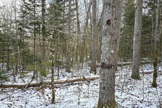 Commercial Land for Sale, Lot 6 Nathan Croft Road, Camperdown, NS