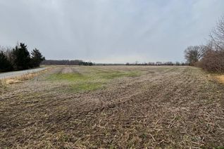 Commercial Farm for Sale, 0 Fansher Road, Dawn-Euphemia, ON