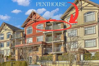 Penthouse for Sale, 19939 55a Avenue #409, Langley, BC