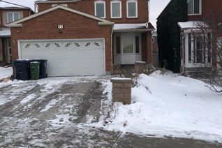 Detached House for Rent, 11 Grayson Crescent #Bsmt, Toronto (Rouge), ON