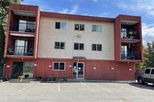 Condo for Sale, 1735 Agassiz-Rosedale No 9 Highway #343, Agassiz, BC