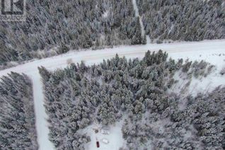 Land for Sale, Lot 1 Duncan Road, Quesnel, BC