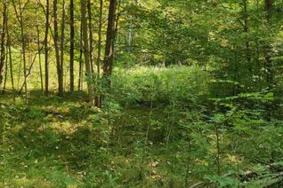 Property for Sale, 0east1 Road Allowance Road, Havelock-Belmont-Methuen, ON