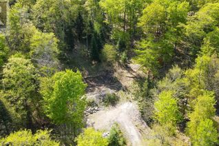 Commercial Land for Sale, 1019 Bushwolf Lake Road, Dysart et al, ON