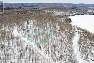 Commercial Land for Sale, Lt 51 Wenona Lake Road, Dysart et al, ON