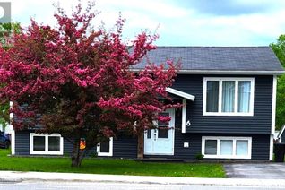 Detached House for Sale, 6 Fourth Avenue, Pasadena, NL