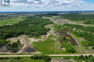 Land for Sale, Lato Road Acreage Lot, Buckland Rm No. 491, SK