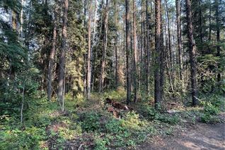 Land for Sale, Lot 5.22, Hudson Bay Rm No. 394, SK