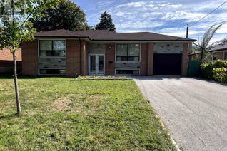 Bungalow for Rent, 9 Dewlane Drive, Toronto (Newtonbrook West), ON