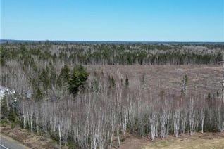 Property for Sale, Lot 99-5 Route 8 Hwy, Boiestown, NB