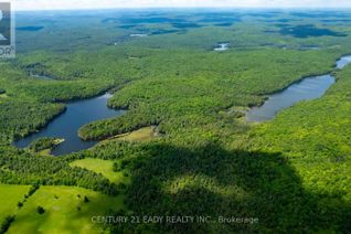 Land for Sale, 00 Mulvihill Farm Road, Greater Madawaska, ON