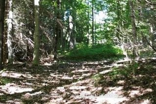 Commercial Land for Sale, Lt 11 Concession 4 Ebr, Northern Bruce Peninsula, ON