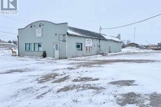 Property, 11 Christopher Street, Theodore, SK