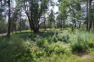 Land for Sale, Lot 4 Macleods Point Road, Roberta, NS