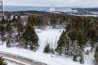 Land for Sale, 56 Duffs Road, Holyrood, NL