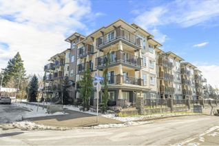 Condo Apartment for Sale, 2565 Campbell Avenue #117, Abbotsford, BC