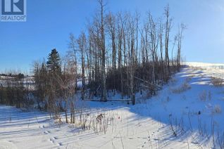 Commercial Land for Sale, 309 Wolf Run Drive, Rural Ponoka County, AB