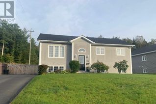 House for Sale, 17 Harmsworth Drive, Grand Falls Windsor, NL