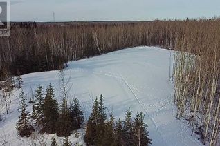 Land for Sale, 1 652051 Range Road 224, Rural Athabasca County, AB