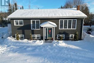 Detached House for Sale, 10 Dawson Drive, Pasadena, NL