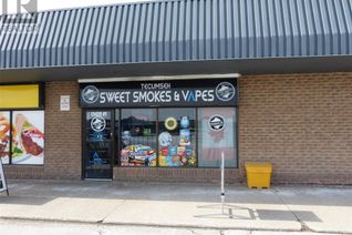 Other Services Business for Sale, 13420 Tecumseh Road East #1, Tecumseh, ON