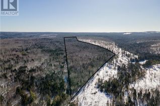 Commercial Land for Sale, Lot Annindale Ridge Road, Salmon Creek, NB