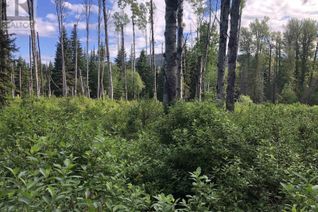 Commercial Land for Sale, 3078 Bradley Creek Road, 100 Mile House, BC