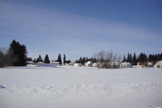 Commercial Land for Sale, 221 3rd St, Thorhild, AB