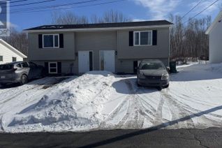 Duplex for Sale, 74-76 Fourteenth Street, Trenton, NS