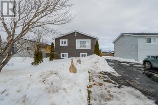 Detached House for Sale, 5 Hounsell Avenue, Mount Pearl, NL