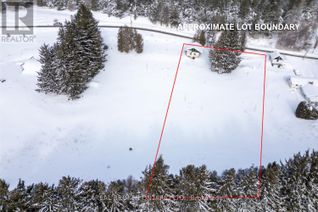 Property for Sale, Part Lot 11 Concession 2 Manvers Part 4, Kawartha Lakes (Pontypool), ON