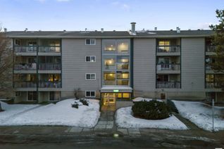 Condo Apartment for Sale, 405 1620 48 St Nw, Edmonton, AB