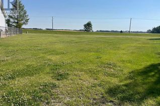 Land for Sale, 14 52 Avenue, Benalto, AB