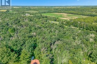 Commercial Land for Sale, 169 Clarke Road, Paris, ON