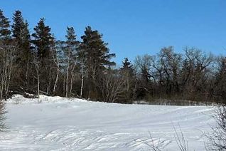 Property for Sale, Lot 1 Nw 24-52-2-4, Rural Vermilion River, County of, AB