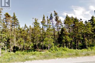 Land for Sale, 134 Bauline Line Extension, Portugal Cove-St. Philip's, NL