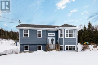 House for Sale, 247 Petty Harbour Road, St. John's, NL