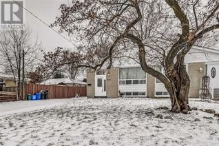 Bungalow for Rent, 399 Browndale Crescent, Richmond Hill (Crosby), ON