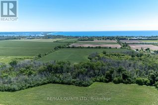 Commercial Land for Sale, 0 Consecon Street, Prince Edward County (Wellington), ON