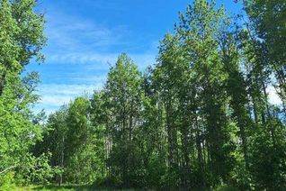 Land for Sale, Sw-10-67-14-4, Rng Rd 143, Lac La Biche, AB