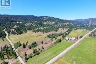 Farm for Sale, 650 Hwy 5a, Princeton, BC