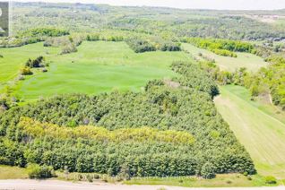 Commercial Land for Sale, Lot 29 5th Line E, Mulmur, ON