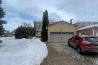 House for Rent, 53 Marsh Street #Basement, Richmond Hill (North Richvale), ON