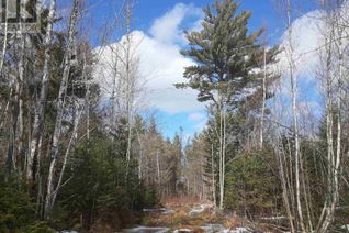 Land for Sale, Lot Pid30143853 Parker Road, Bear River, NS