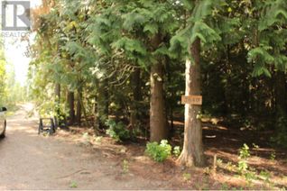 Commercial Land for Sale, 2640 3b Highway, Rossland, BC