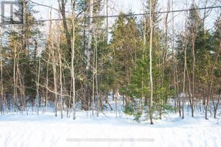 Land for Sale, Lot 4 Spruce Street, Tiny, ON