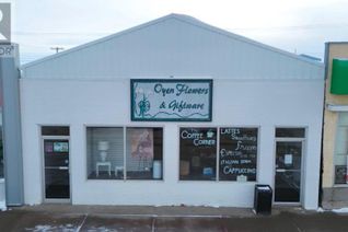 Property for Sale, 113 Main Street, Oyen, AB