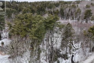 Property for Sale, Highway 10, Cookville, NS