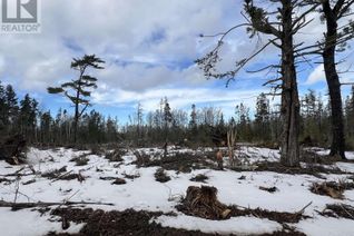 Land for Sale, 2 Priests Road, Central Caribou, NS