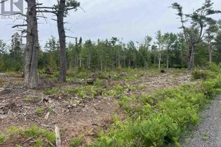 Commercial Land for Sale, 2 Priests Road, Central Caribou, NS